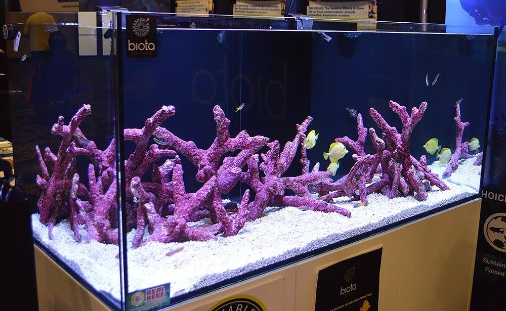 Live Rock Aquascaping Ideas