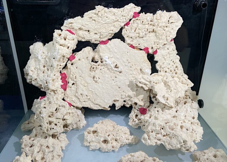Maxspect Coral Putty is Everything Epoxy Should Be Reef Builders