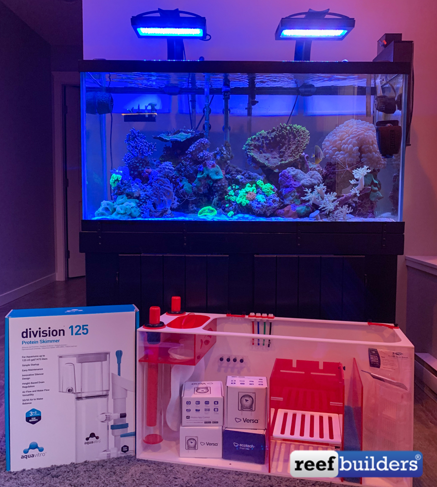 Awesome 90 gallon aquarium - complete setup 