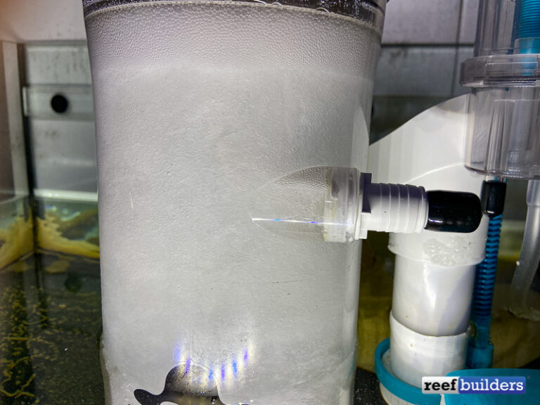 Aquavitro Division Skimmer Review A Return to the Fundamentals of