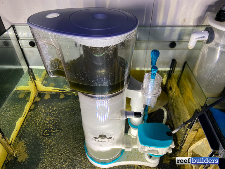 Aquavitro Division Skimmer Review - A Return to the Fundamentals of ...