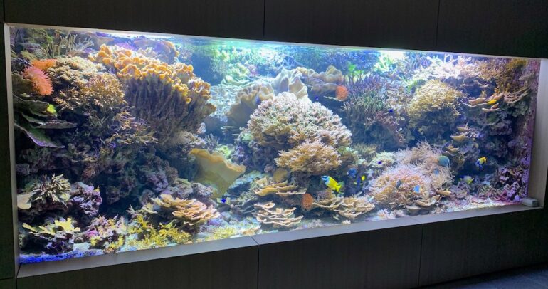 Giesemann’s New Galaxxy S LED Light for Massive Reef Tanks | Reef ...