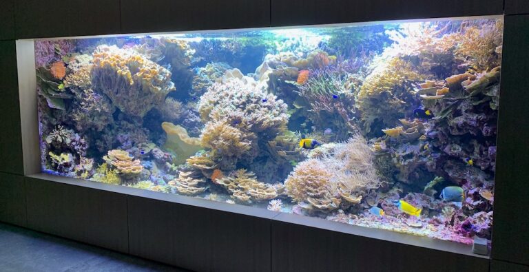 Giesemann’s New Galaxxy S LED Light for Massive Reef Tanks | Reef ...