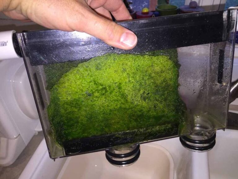 Turbo Aquatics Raises Algae Scrubber to a New Level of Refinement