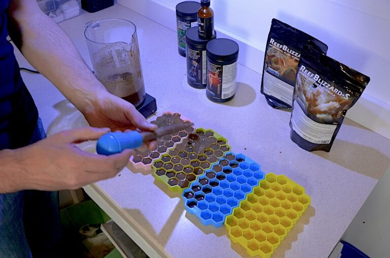 Our Favorite Method of Feeding Frozen Coral Food Reef Builders The