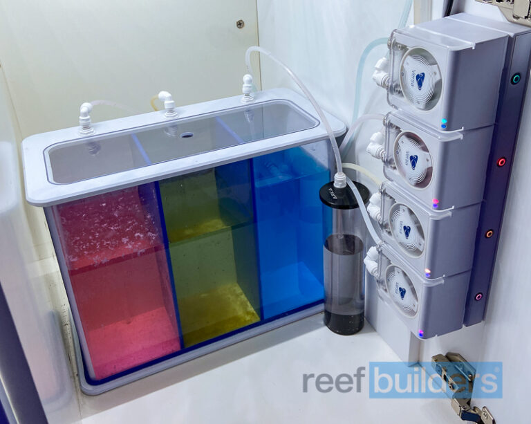 Three Levels of Dosing Setups at the Reef Builders Studio Reef
