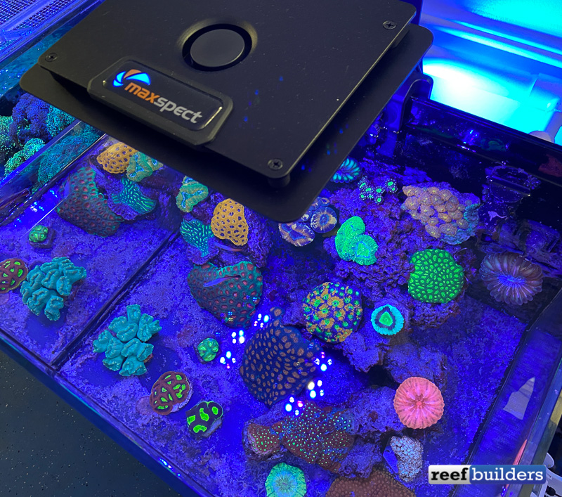 Maxspect Jump L 165 Led Strikes A Balance Of Features Power And Price Reef Builders The Reef And Saltwater Aquarium Blog