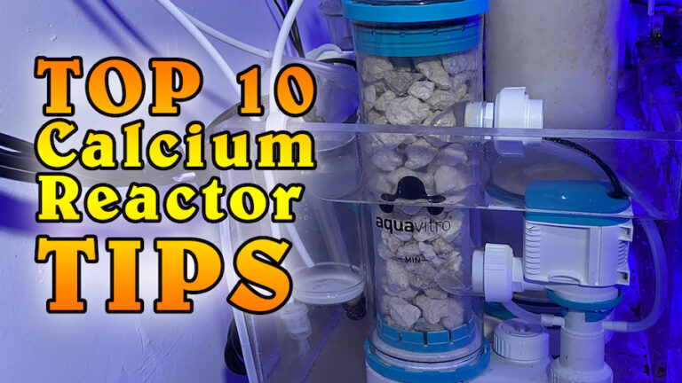 Picture of 10 Things to Know About Calcium Reactors | Reef Builders | The Reef and ...