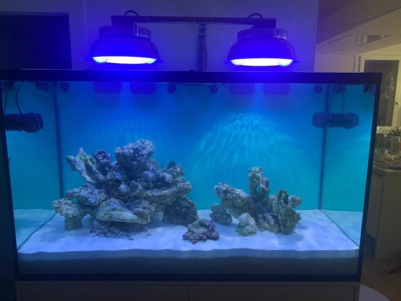 Fluorescent shop aquarium light