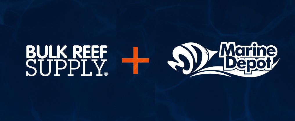 Bulk Reef Supply Acquires Marine Depot | Reef Builders | The Reef and Saltwater Aquarium Blog