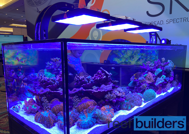 Top 10 Takeaways of the SKY LED Light, a Pre-Release Review | Reef Builders Reef and Saltwater Blog