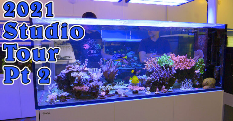 2021 Reef Builders Studio Mega Tour Videos | Reef Builders | The Reef ...