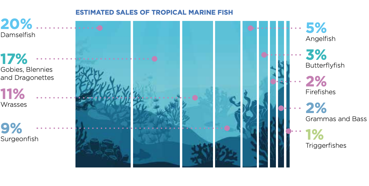 OATA estimated sales of tropical marine fish infographic