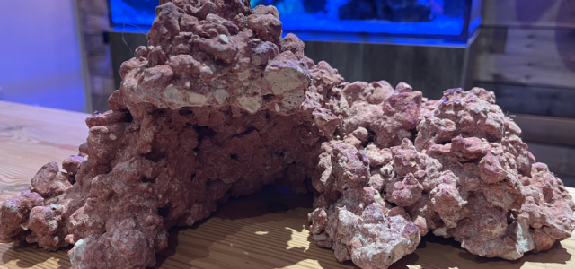 Aquaforest AF Rock Arch