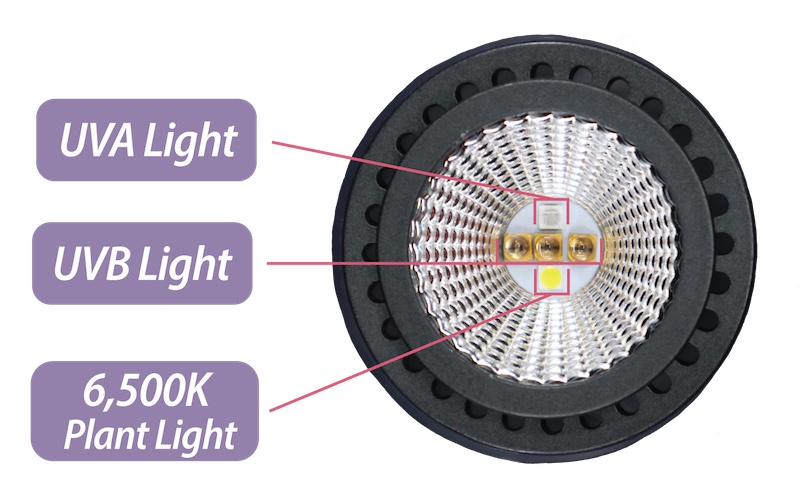 Uv b deals led light