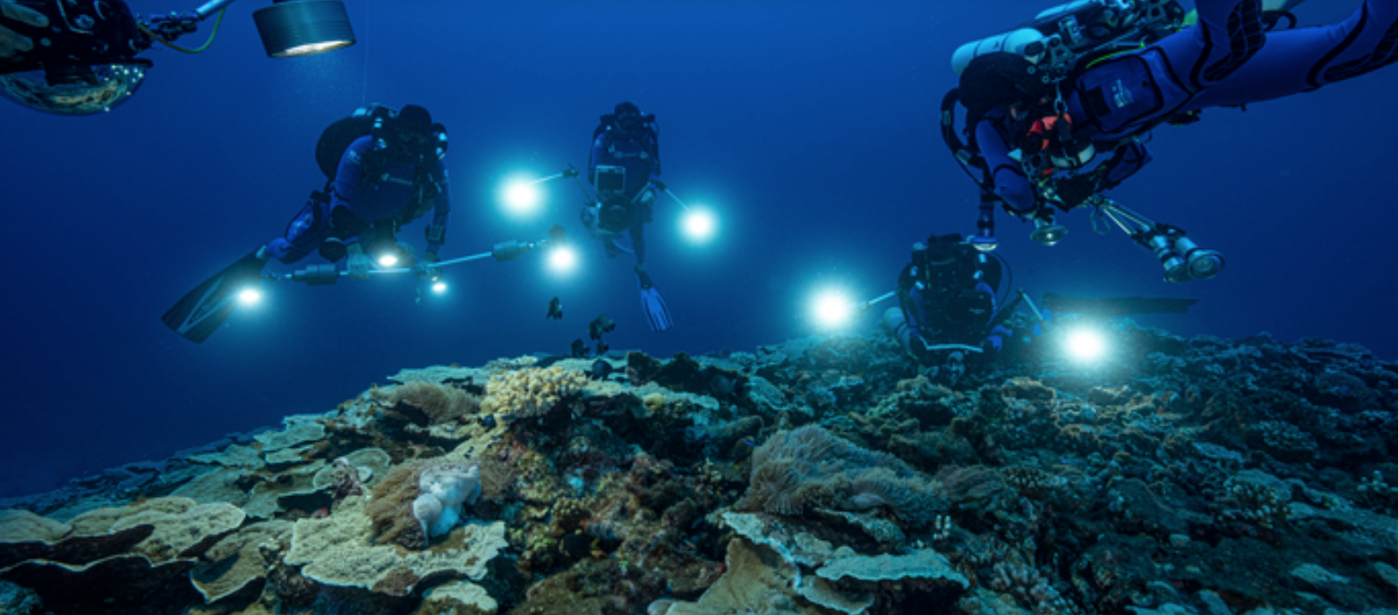 Twilight reef Tahiti