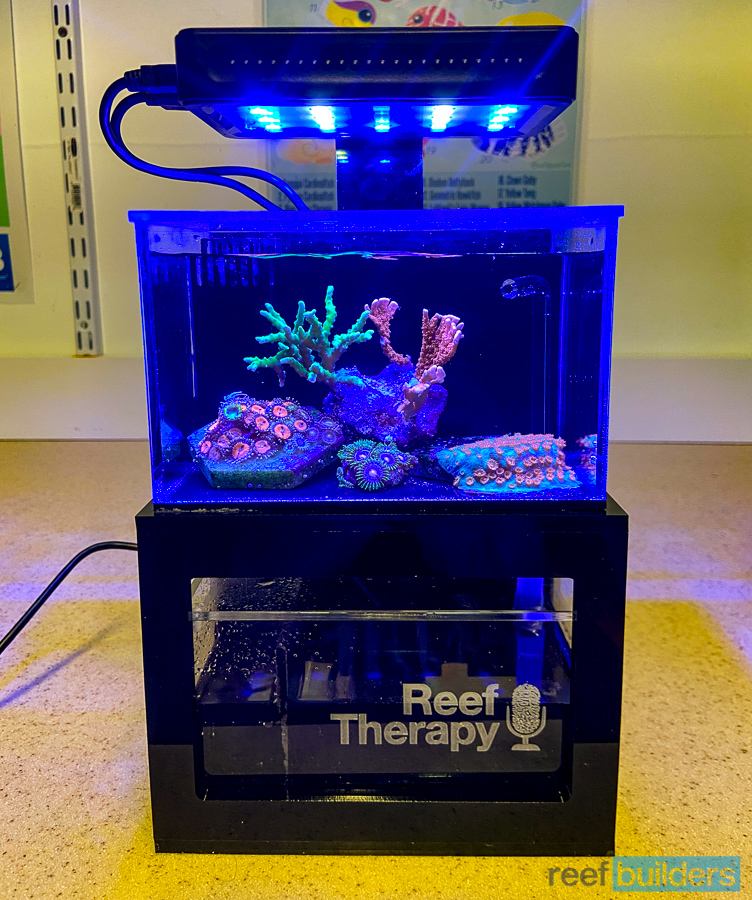 Micro Reef Ready Tank (0.3 Gallon) Standard (BLACK) - PNW Customs 