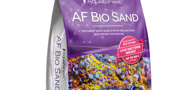 AF Bio Sand live sand