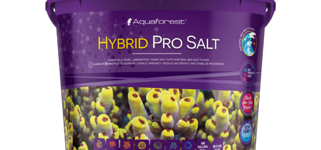 Aquaforest Hybrid Pro Salt