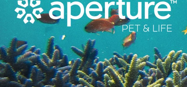 Aperture Company logo