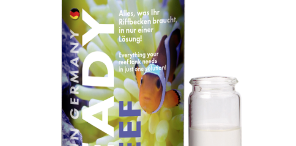 Fauna Marin Ready2Reef