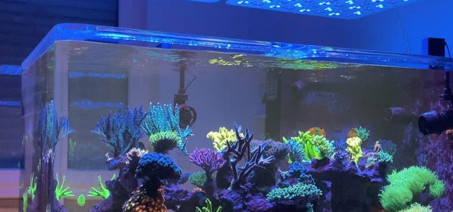 ATI Straton PRO LED light