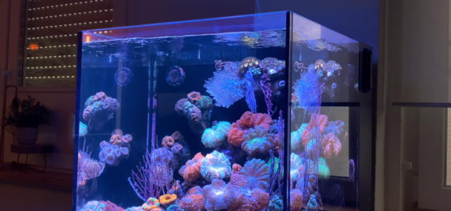 ATI Straton PRO LED light