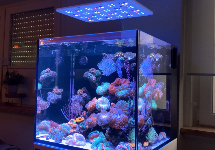 jeg er træt Brobrygge kompromis Straton Pro is ATI's newest flat panel LED light fixture | Reef Builders |  The Reef and Saltwater Aquarium Blog