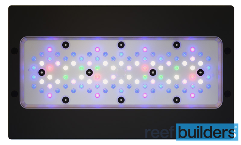 Tag: indigo led, Reef Builders