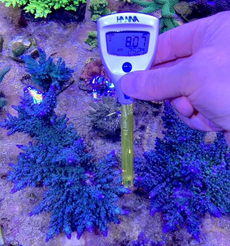 Hanna Halo 2 Review An Affordable and Accurate pH meter Reef