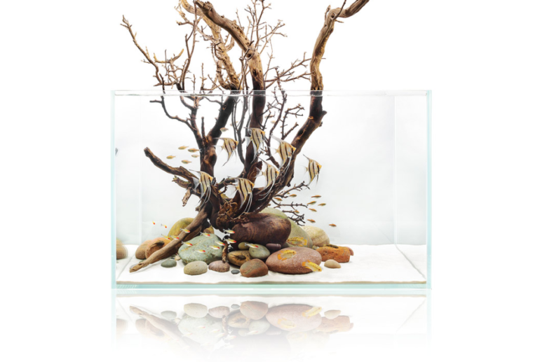 Ultum Nature extends with a new tall aquarium range Reef Builders