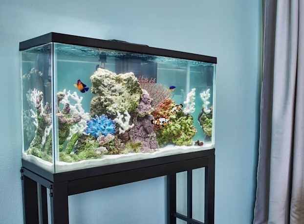 Petco's tank sale slashes prices on all Aqueon aquariums