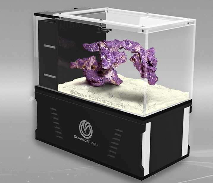 MicroTank Artisan P1-G is Oceanbox Design's tiny 1-gallon wonder