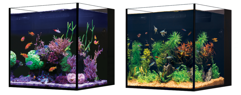 Desktop Series offer stripped-down AIO nano tanks from Red Sea | Reef ...