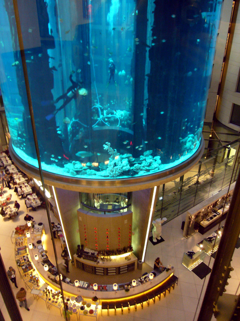 One million-liter cylinder aquarium bursts in Berlin, Reef Builders