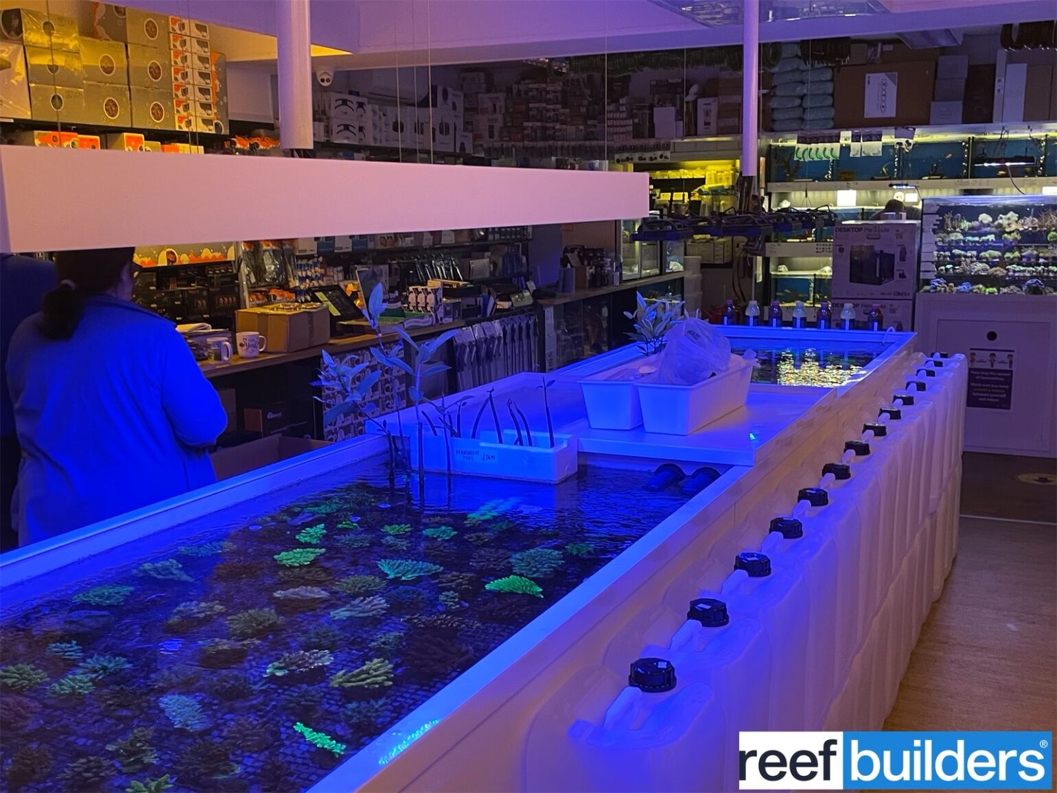 Make AAC part of your saltwater fish store Grand Tour Reef Builders The Reef and Saltwater