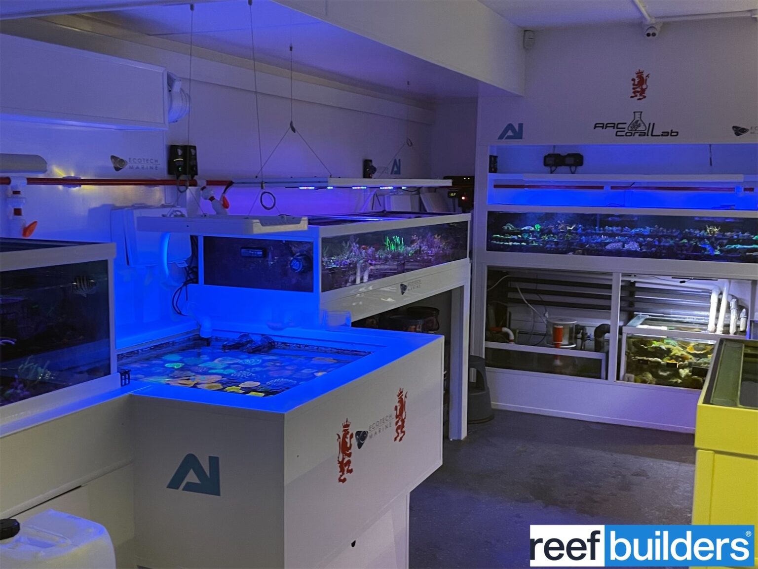 Make AAC part of your saltwater fish store Grand Tour Reef Builders