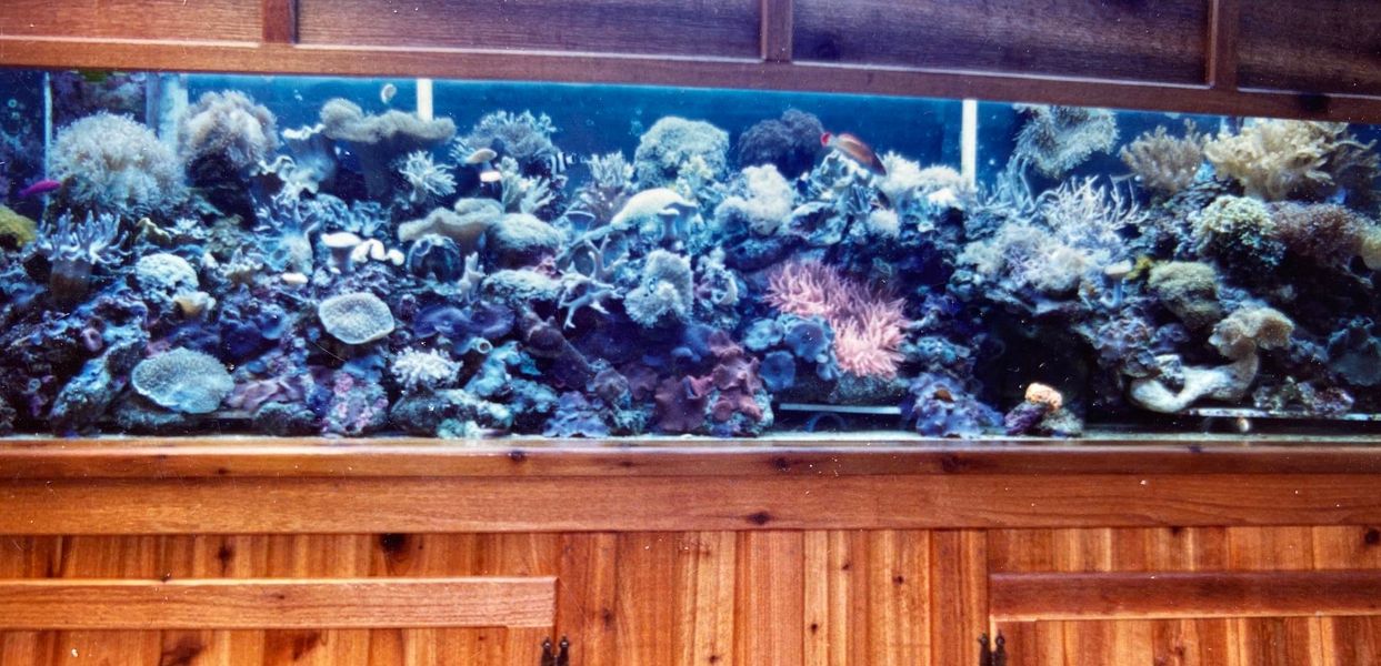 Is Cornerstone the New Standard in Artificial Branch Rock?, Reef Builders, The Reef and Saltwater Aquarium Blog