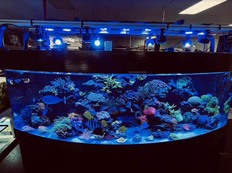 LFS Fire Safety Retailers urged to check Insurance Policies Reef