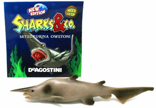 Toy store goblin shark