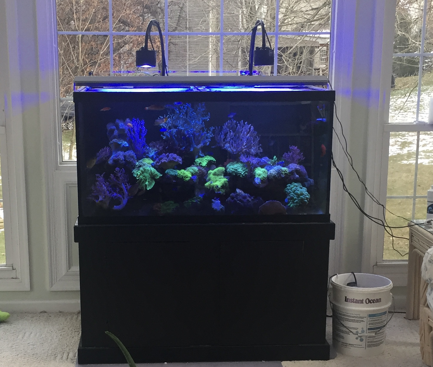 Automatic Top-Off Systems, Reservoirs, and Dehumidifiers, Reef Builders