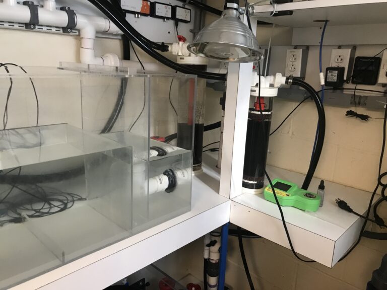 Automatic TopOff Systems, Reservoirs, and Dehumidifiers Reef