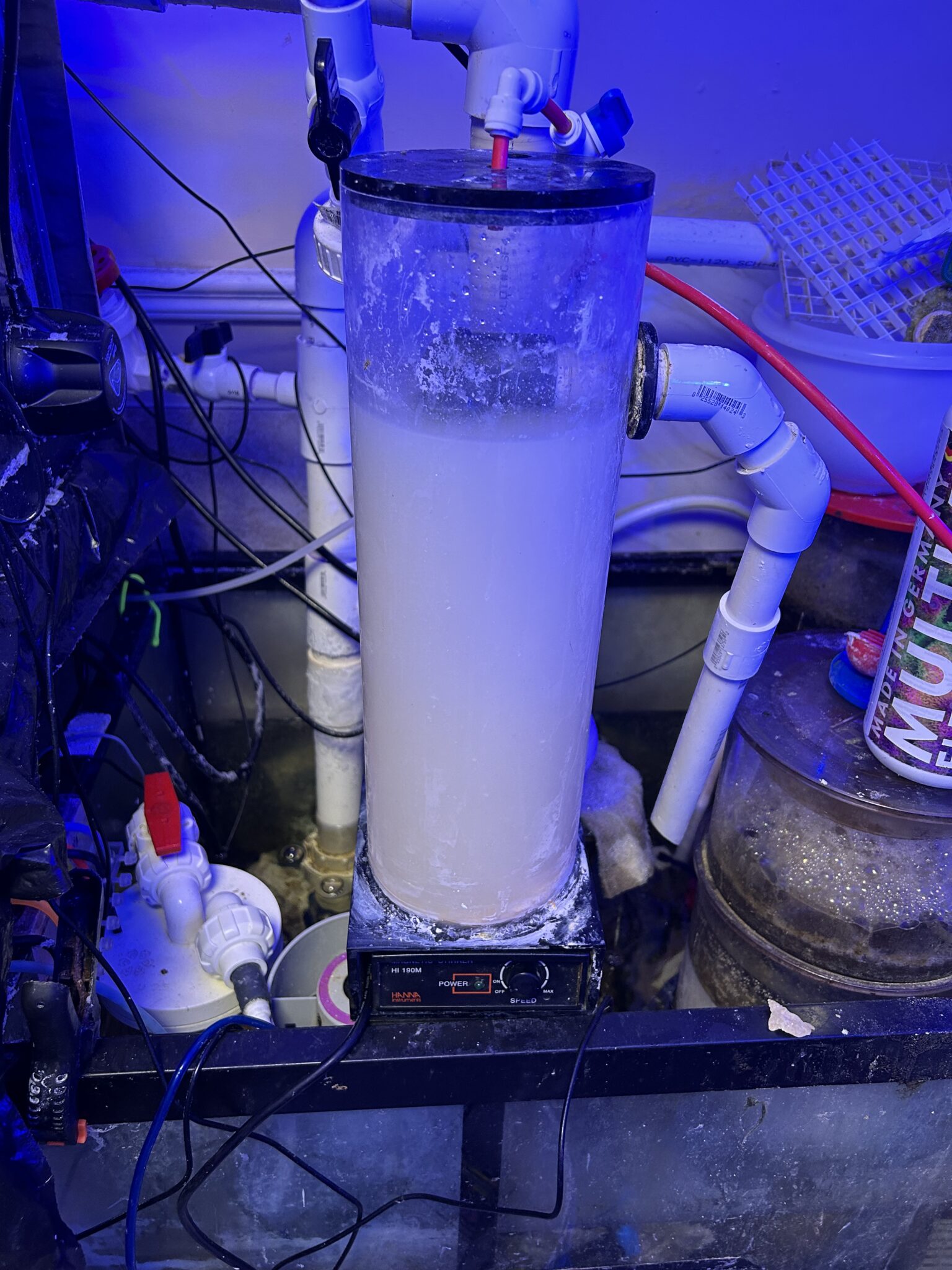 The Importance of Calcium, Alkalinity, and Magnesium in a Reef Tank