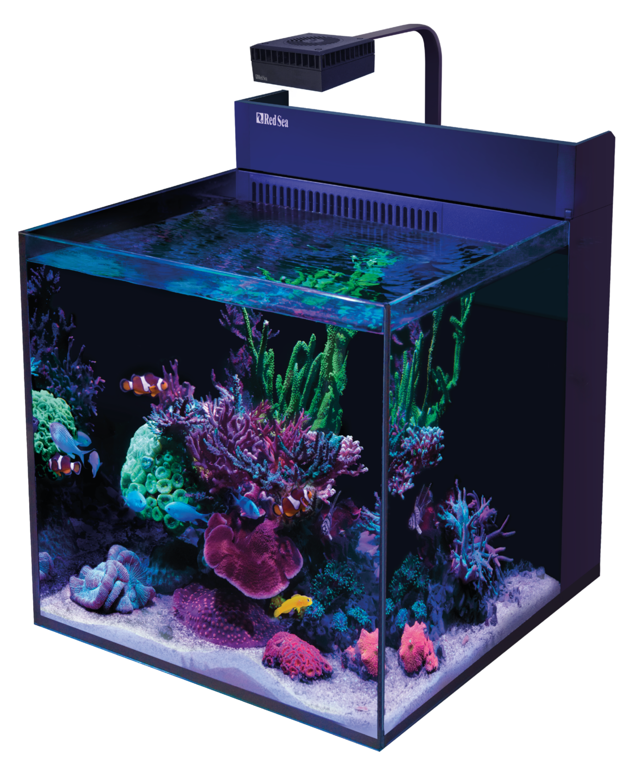 Red Sea Max Nano G2 XL is their biggest Nano Reef Tank to date | Reef ...