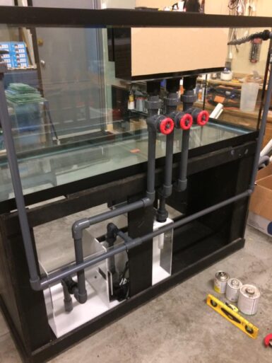 Photo inspiration: Visual Reference: Reef Tank Maintenance Reef Builders The Reef And Saltwater Aquarium