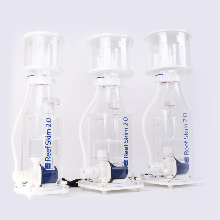 Image showcasing Saltwater Aquarium Filtration - The Crystal-Clear Guide To A Thriving