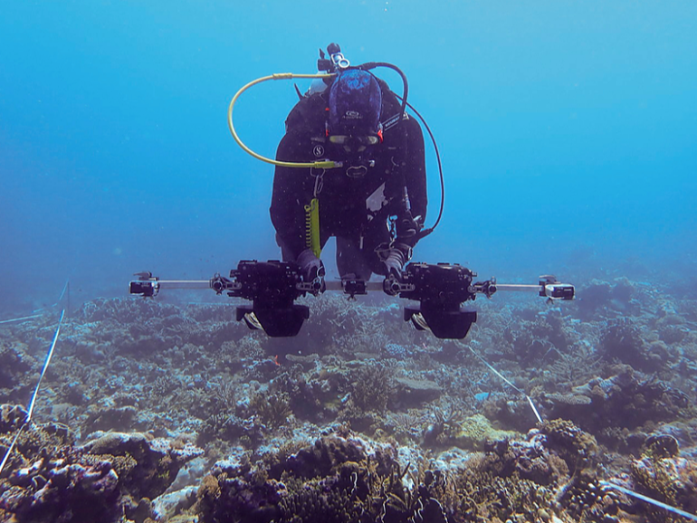 Scientists confirm Western Australia oceanic reefs avoid mass bleaching ...