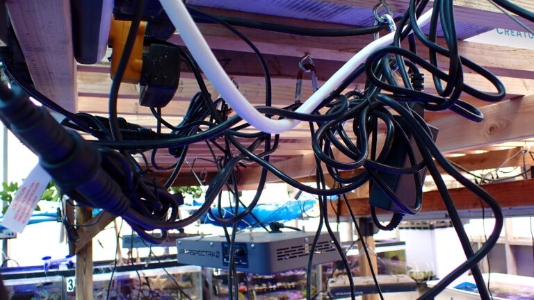 What You Need to Know about Aquariums and Electrical Safety | Reef ...