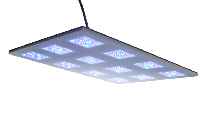 GRAVITY by B-SPX: Inside the “Mother of All LEDs” & Live Q&A Today ...