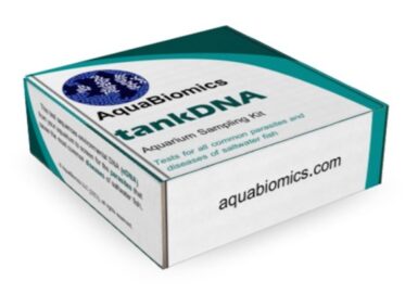 AquaBiomics Shutdown Looms | Reef Builders | The Reef and Saltwater ...